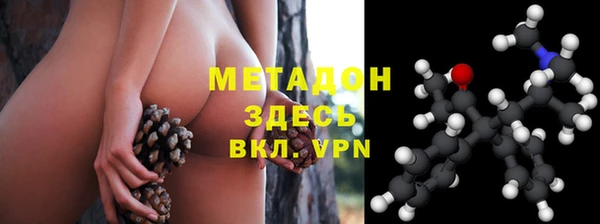 индика Богданович