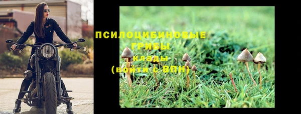 2c-b Медногорск