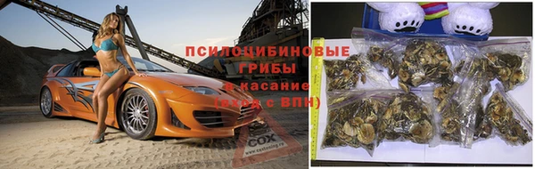 мескалин Медвежьегорск
