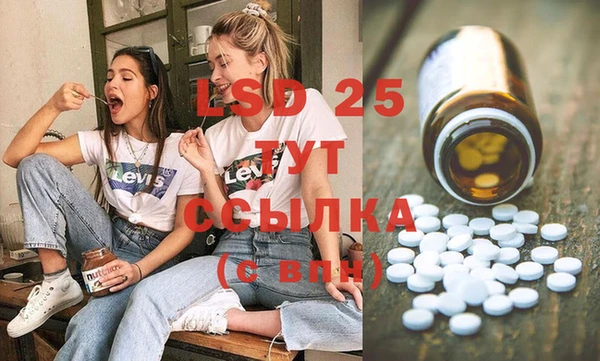 спайс Мегион