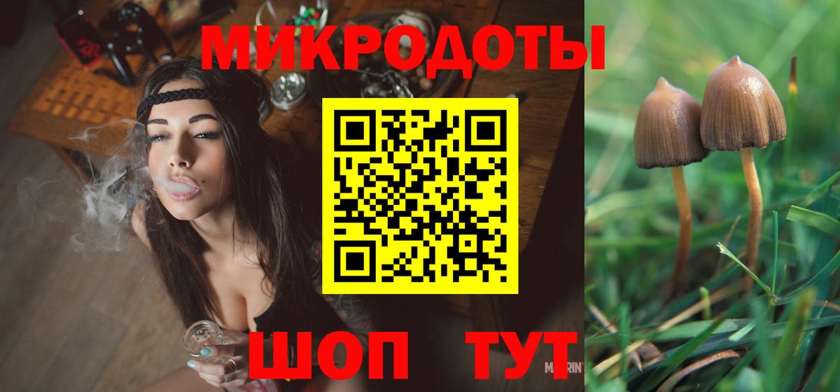 магазин  наркотиков  Тобольск  Псилоцибиновые грибы Cubensis 